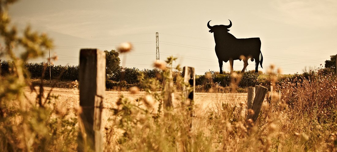 Toro Terrífico