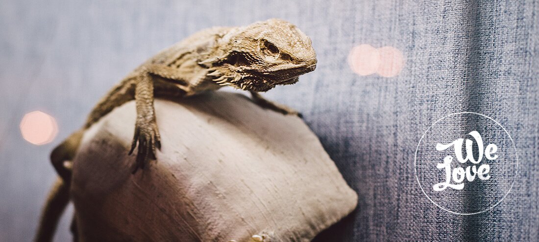 We love … Hand of Glory