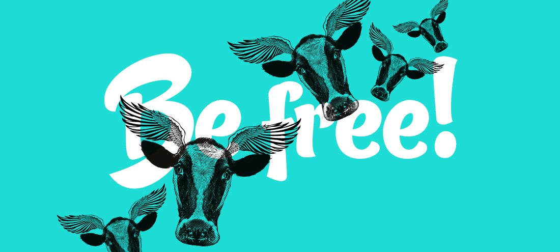 Free Cow for all