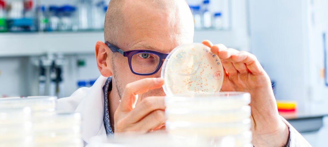 Cracking beer’s genetic code