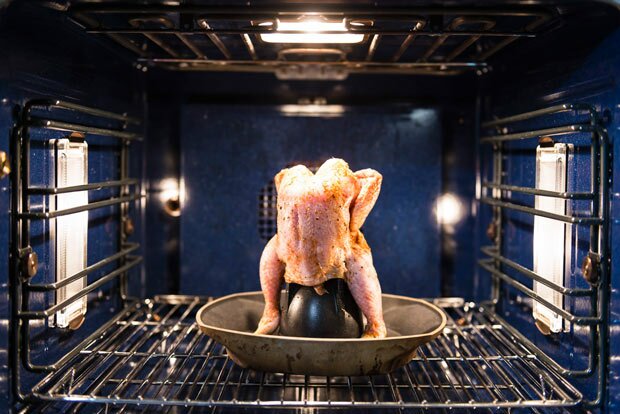 The best picture of a superhero chicken you will see today
