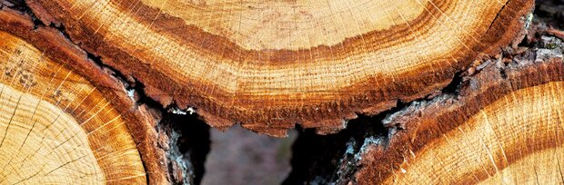 wood
