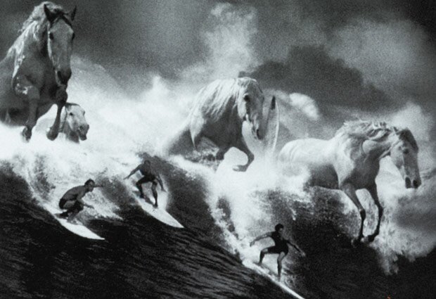 Horses